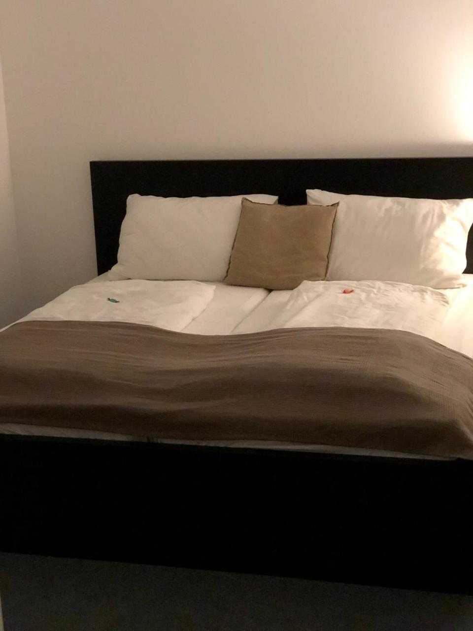 Boutique Hostel Zum Goldenen Kegel Vienna Esterno foto