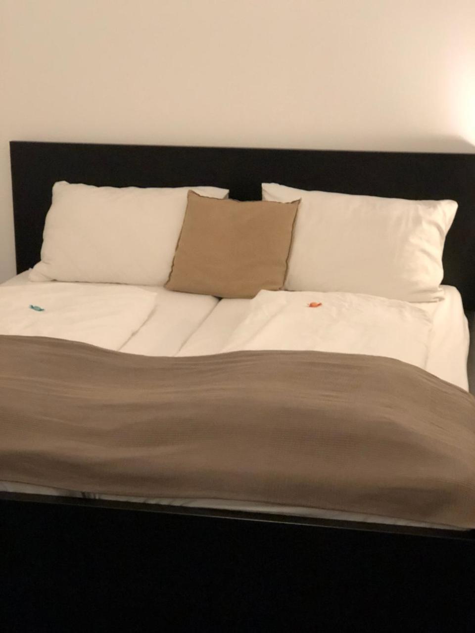 Boutique Hostel Zum Goldenen Kegel Vienna Esterno foto
